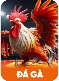 Đá Gà HAYWIN